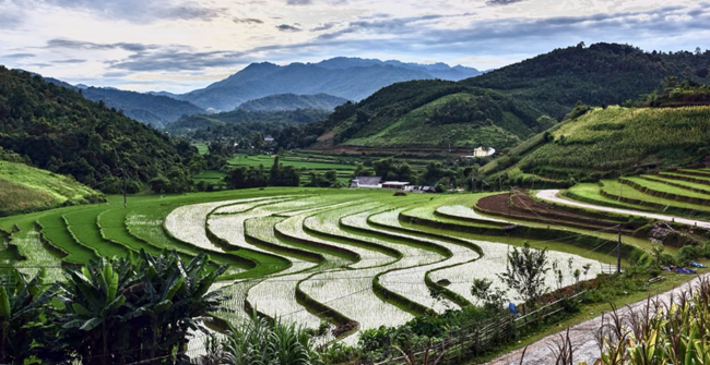 Tết “Khoăn vài”- gọi vía trâu của người Tày – Nùng (09/07/2024)